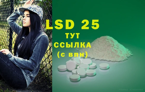 гидропоника Каменка