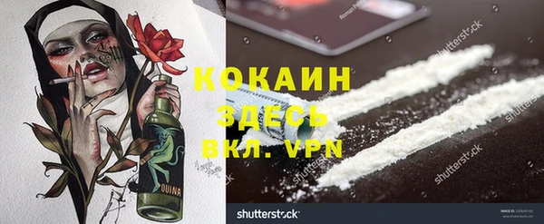 гидропоника Каменка