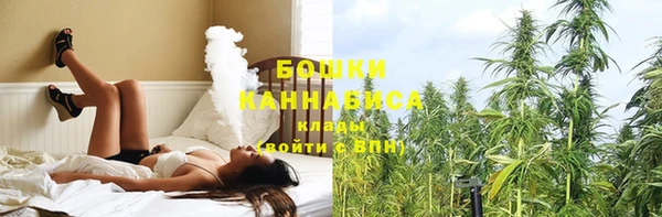 spice Каменногорск