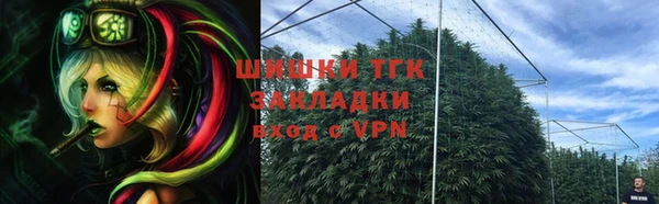 гидропоника Каменка