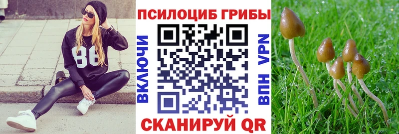 Купить где  Медынь  Галлюциногенные грибы мухоморы 